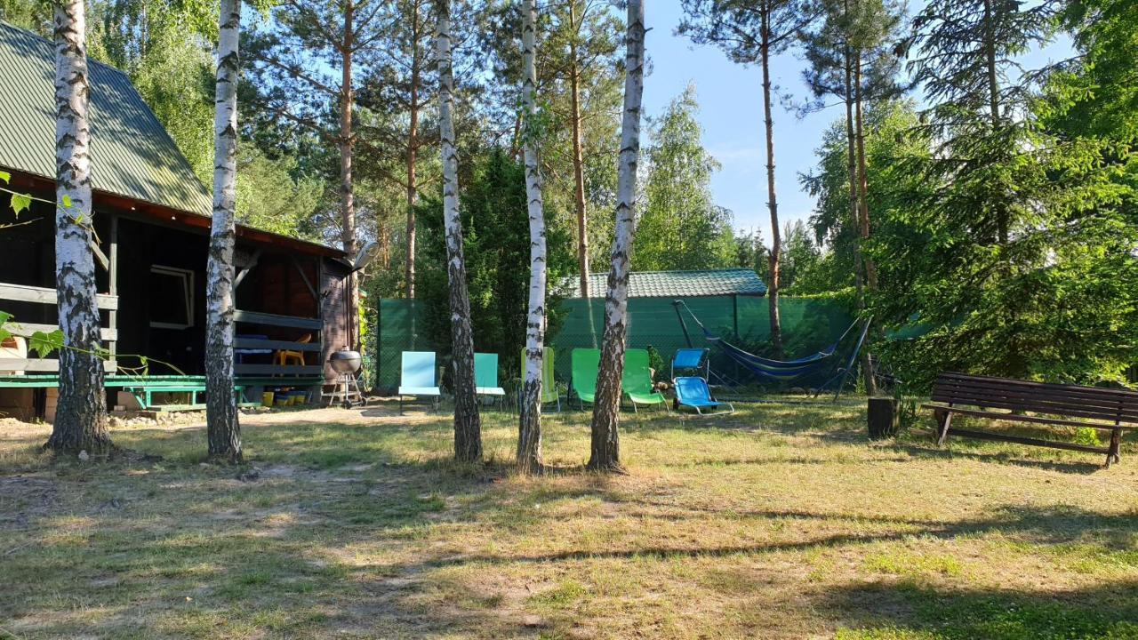 Domki Nad Jeziorem, Las, Do 10 Osob Jezioro Wilczynskie Budzislawskie - Domek Letniskowy Osobno Ogrodzony, Ogrzewany Mile Widziane Pieski, Zwierzeta- Wielkopolska, 62-550 Zygmuntowo Gm Wilczyn Dış mekan fotoğraf