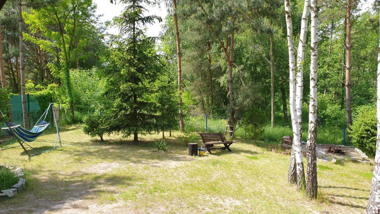 Domki Nad Jeziorem, Las, Do 10 Osob Jezioro Wilczynskie Budzislawskie - Domek Letniskowy Osobno Ogrodzony, Ogrzewany Mile Widziane Pieski, Zwierzeta- Wielkopolska, 62-550 Zygmuntowo Gm Wilczyn Dış mekan fotoğraf