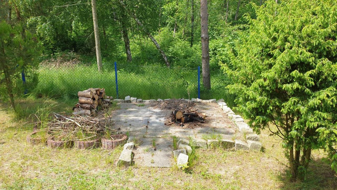 Domki Nad Jeziorem, Las, Do 10 Osob Jezioro Wilczynskie Budzislawskie - Domek Letniskowy Osobno Ogrodzony, Ogrzewany Mile Widziane Pieski, Zwierzeta- Wielkopolska, 62-550 Zygmuntowo Gm Wilczyn Dış mekan fotoğraf